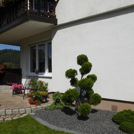 Ferienwohnung Waltraud Brilon Luaran gambar